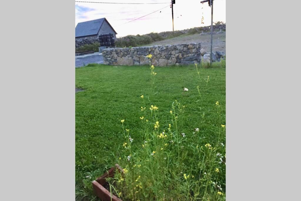 Tigh Noor - Escape To Kinvara By The Sea! Galway Extérieur photo